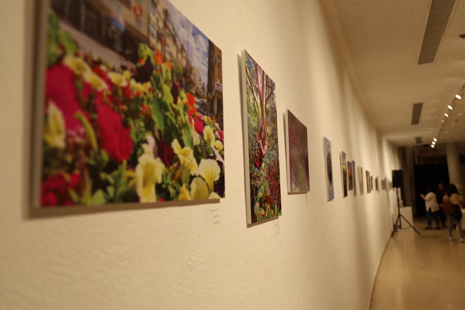 טבע אורבני בעין העדשה