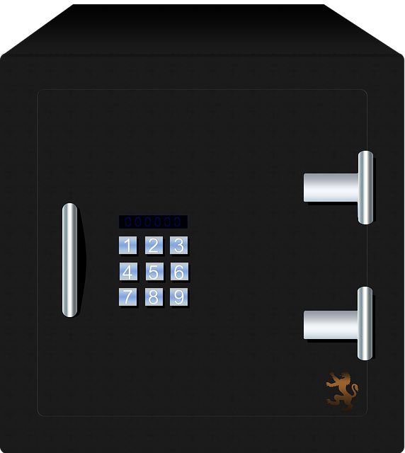 עם הכספת המתאימה תרגישו בטוחים