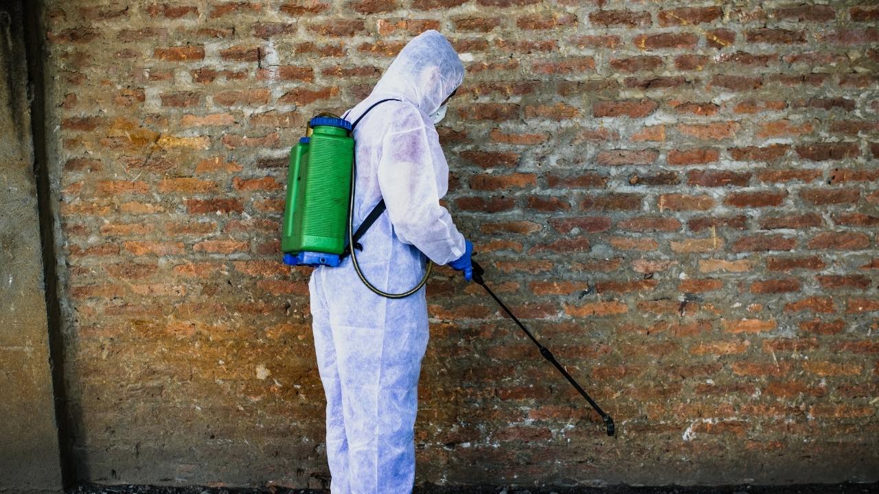 שירות מקצועי ויעיל המבוצע על ידי אנשי מקצוע