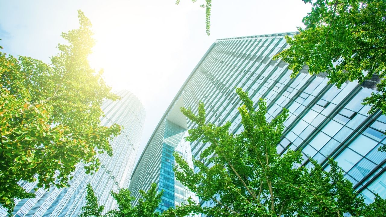 אנשי המקצוע שצריכים ללוות אתכם בקניית דירה