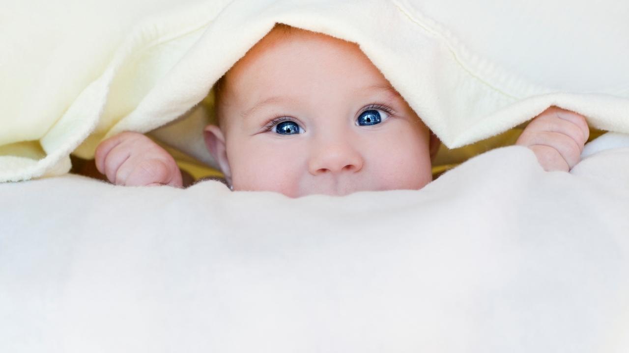 איך בוחרים מושב בטיחות החל מגיל לידה ועד גיל מאוחר יותר?