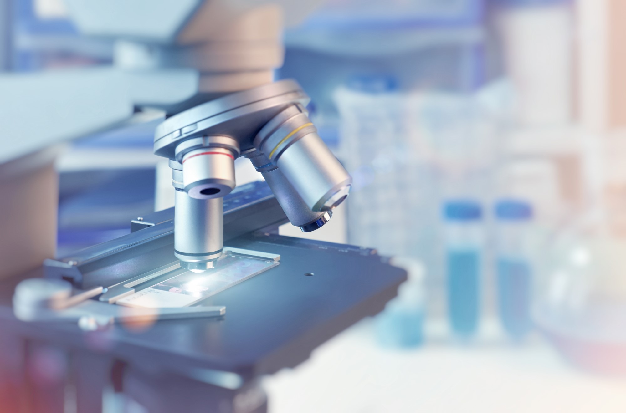 צריכים לשירותים בתכיפות? כדאי לבדוק את מצב הערמונית