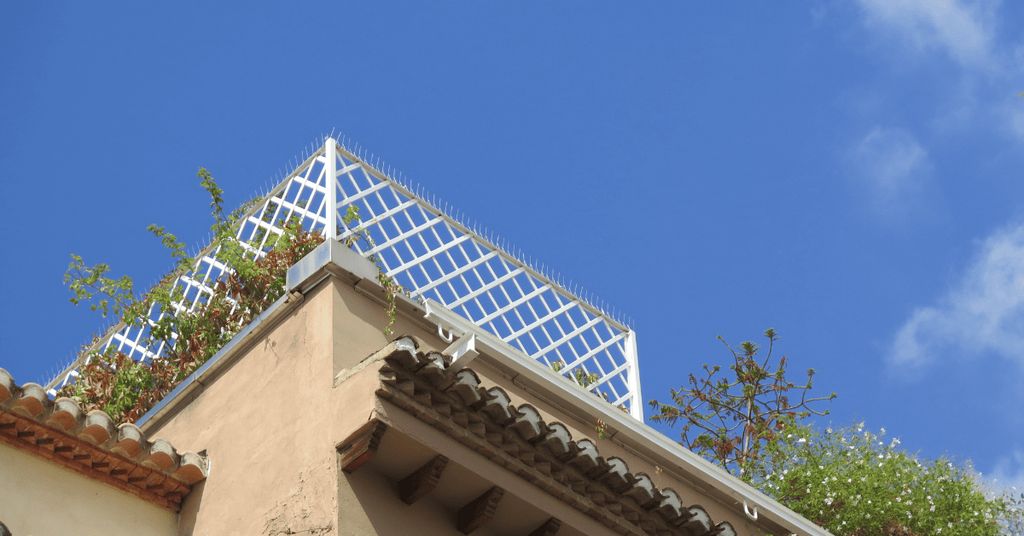 דוקרן נגד יונים – למה כל בעל מרפסת צריך דוקרנים להרחקת יונים וציפורים?