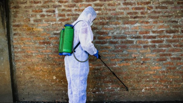 פתרונות מקצועיים למזיקים בסביבת המגורים