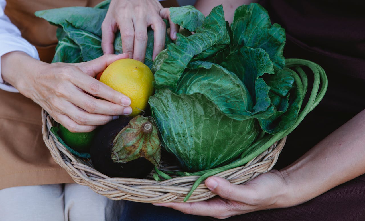 הכנה והסברים חשובים לפני עבודה מועדפת בחקלאות